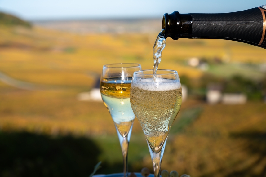Ribolla Gialla: caratteristiche e abbinamenti di questo bianco dell'Est Ribolla Gialla: caratteristiche e abbinamenti di questo bianco dell'Est